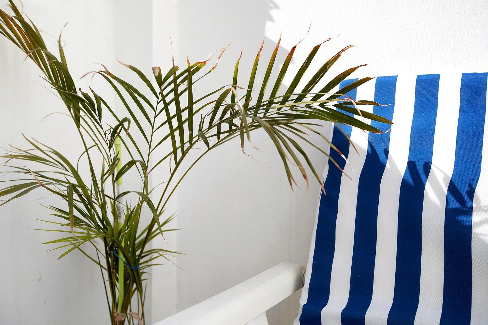 Apartament La Caleta La Cala De Mijas Zewnętrze zdjęcie